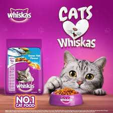 Whiskas cat feed 12 pack